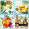 6 Pieces Hawaii Tablecloth 84 Inch Aloha Luau Tropical Hibiscus Flower Round Table Cloth